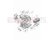 TRIUMPH Speed Twin 900 Crankcase & fittings