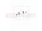 TRIUMPH Speed Twin 900 Bar end finishers