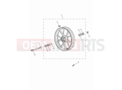 TRIUMPH Speed Twin 900 Front wheel