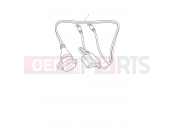 TRIUMPH Street Triple R Connection Lead, Optimate Kit