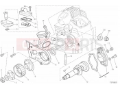 DUCATI 2019 Scrambler 1100 Sport HORIZONTAL HEAD & TIMING SYSTEM