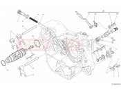 DUCATI 2019 Scrambler Desert Sled SHIFT CAM & FORK