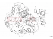 DUCATI 2019 Scrambler Desert Sled INTAKE MANIFOLD