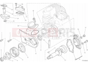 DUCATI 2015 Scrambler Icon HEAD HORIZONTAL - DISTRIBUTION