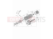 TRIUMPH Tiger 900 GT Clutch