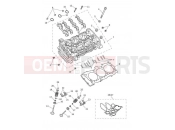 Triumph 2022 SPEED TRIPLE 1200 RS Cylinder Head & Valves