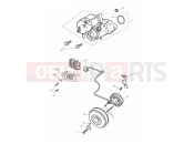 Triumph 2013 THUNDERBIRD Starter & Alternator