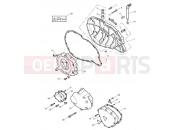 Triumph 2016 SCRAMBLER EFI Engine Covers
