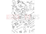 Triumph 2022 Speed Twin 1200 Service Tools