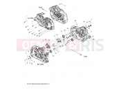 ENGINE | ENGINE, CRANKCASE ASM. - N24MSA11/MSB11 ALL OPTIONS (49INDIANCRANKCASE15SCOUT) - Indian SCOUT SIXTY ALL OPTIONS (R01) - N24MSA11/MSB11 2024