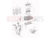 TRIUMPH STREET SCRAMBLER Cylinder Head & Valves