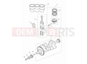 TRIUMPH Tiger 900 Rally Aragon Edition Crankshaft, connecting rods, pistons & liners