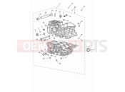 TRIUMPH Tiger 900 Rally Aragon Edition Crankcase & fittings