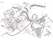 Cooling circuit - Ducati Panigale V2 Troy Bayliss 2024