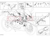 Vehicle electric system - Ducati Panigale V2 Troy Bayliss 2024