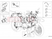 DUCATI 2024 Monster Vehicle electric system