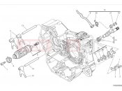 DUCATI 2024 Scrambler Icon Shift cam & fork