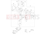 HUSQVARNA 2024 Offroad FE 250 CKD (F2187X4) [CN] THROTTLE BODY|Engine|41