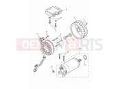 TRIUMPH Bonneville Speedmaster Alternator & starter motor
