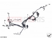 BMW Motorrad BMW 2024 F models F 900 R A2 25 (0K91) Main wiring harness