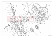 DUCATI 2017 Scrambler Desert Sled COMPLETE HALF-CRANKCASES PAIR