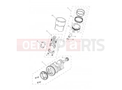 Triumph 2015 TROPHY 1215 SE Crankshaft, Connecting Rods...