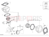 DUCATI 2025 Desert X Discovery Cylinders