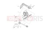 TRIUMPH Tiger 1200 Rally Explorer Shaft Drive