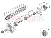 MOTOGUZZI Stelvio Duecento Tributo E5+ (EU) Clutch