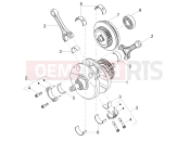 MOTOGUZZI Stelvio Duecento Tributo E5+ (EU) Cranckshaft