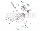 Cranckshaft - Motoguzzi Stelvio E5+ (EU) 2025