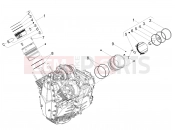 Cylinder - Piston - Motoguzzi Stelvio E5+ (EU) 2025