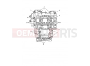 Triumph 2022 Trident 660 Crankcase Bolts