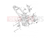Triumph 2022 Trident 660 Main Frame Assembly