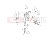Triumph 2022 Trident 660 Lubrication System