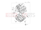 Triumph 2022 Trident 660 Crankcase & Fittings