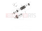 Triumph 2024 Daytona 660 Clutch Assembly