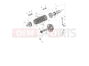 TRIUMPH Speed Twin 1200 Clutch