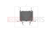 Triumph 2016 SPEED TRIPLE S 735438 > Radiator Guard Kit