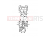 TRIUMPH SPRINT GT Crankcase Bolts