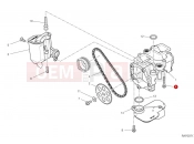 DUCATI Multistrada V4 Pikes Peak Oil pump