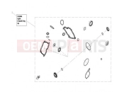 CFMOTO UFORCE 800 (CF800-3) ENGINE OIL SEAL @^O-RING - E13