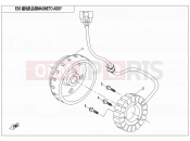 CFMOTO 2015 SSV ZFORCE 500 (CF500US) MAGNETO STATOR ASSY - E03