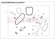 CFMOTO 2026 SSV ZFORCE 800 (CF800SU-3) ENGINE OIL SEAL @^O-RING - E30