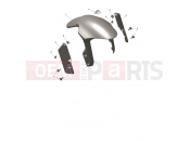 Triumph 2026 DAYTONA 660cc - CM3407 > Front Mudguard