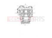 Triumph 2026 TRIDENT 660cc CN4040 > Crankcase Bolts