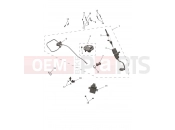 Triumph 2026 Trident 800 Lockset