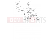Triumph 2026 Trident 800 Engine Management System