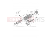 TRIUMPH Tiger 900 Rally Clutch