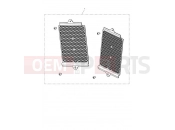TRIUMPH Tiger 900 Rally Aluminium Radiator Guard